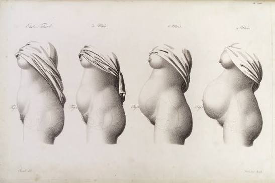 Understanding the Stages of Obstetrics From Conception to Delivery