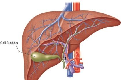 The Connection Between Gallbladder Health and Diet